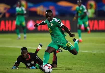 塞内加尔vs荷兰直播比赛_世界杯直播_塞内加尔对荷兰视频录像在线观看