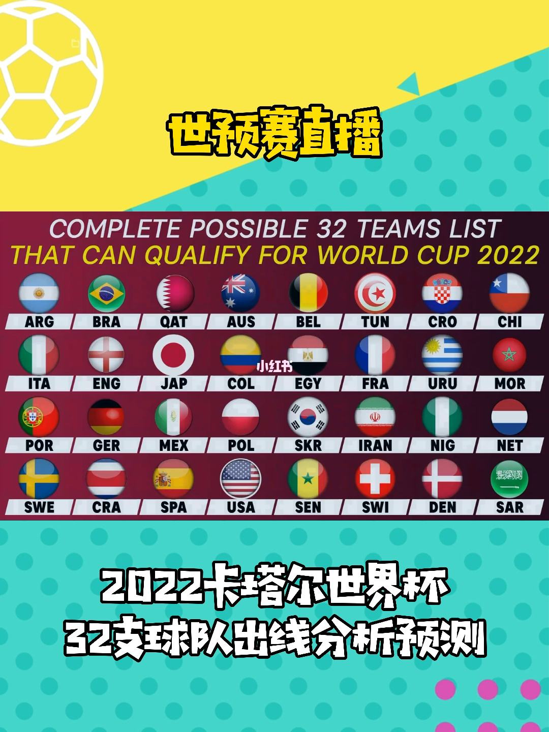 2022世界杯球队 ，2022世界杯球队积分排行榜